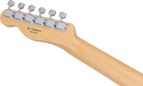 Limited Telecaster Black Paisley MADE IN JAPAN3